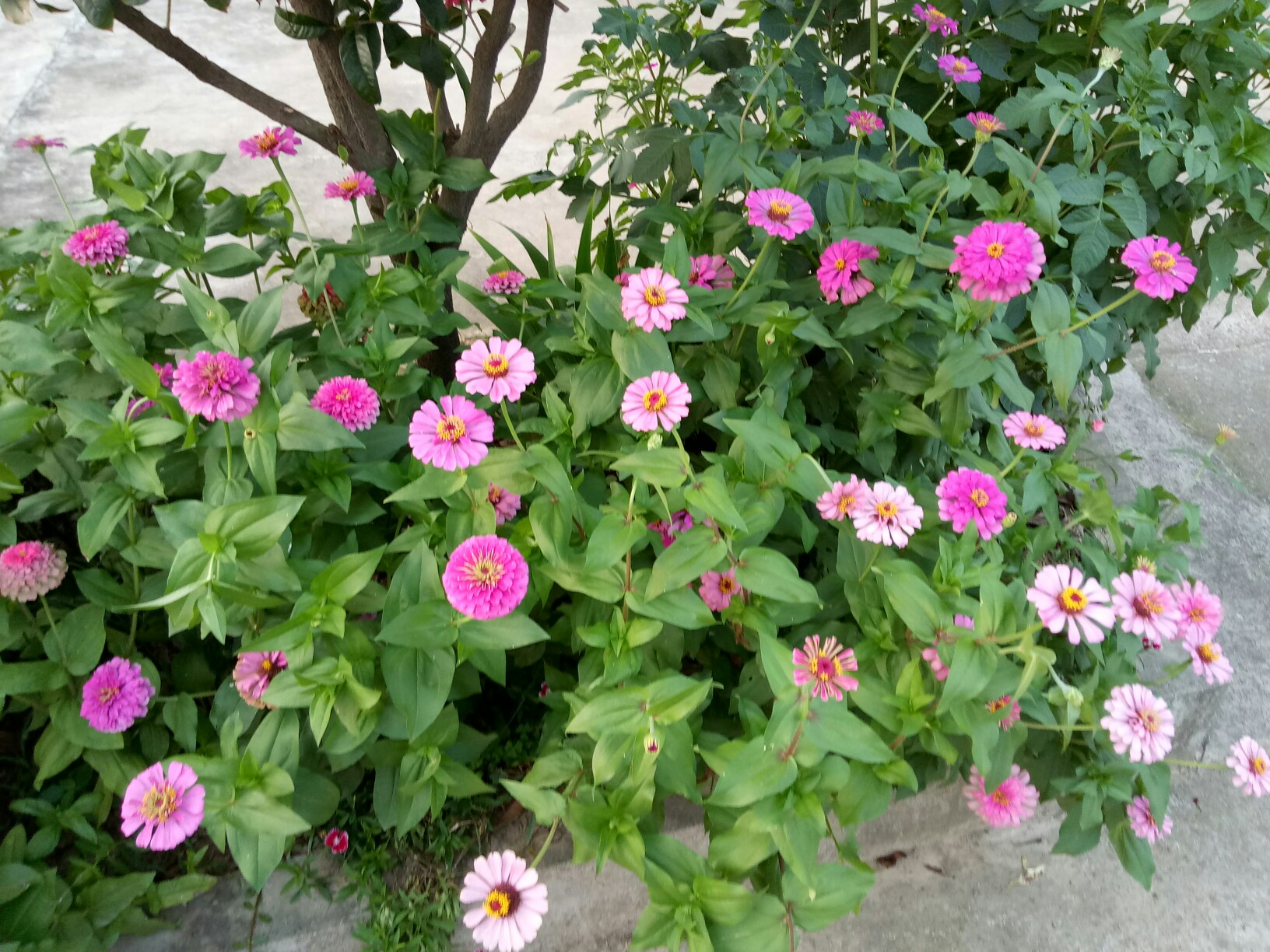 英雄联盟s15-关于2?厝%?Z.?rQl	3?哉豉耋^P囁€%鉸	uU颩亘6的信息