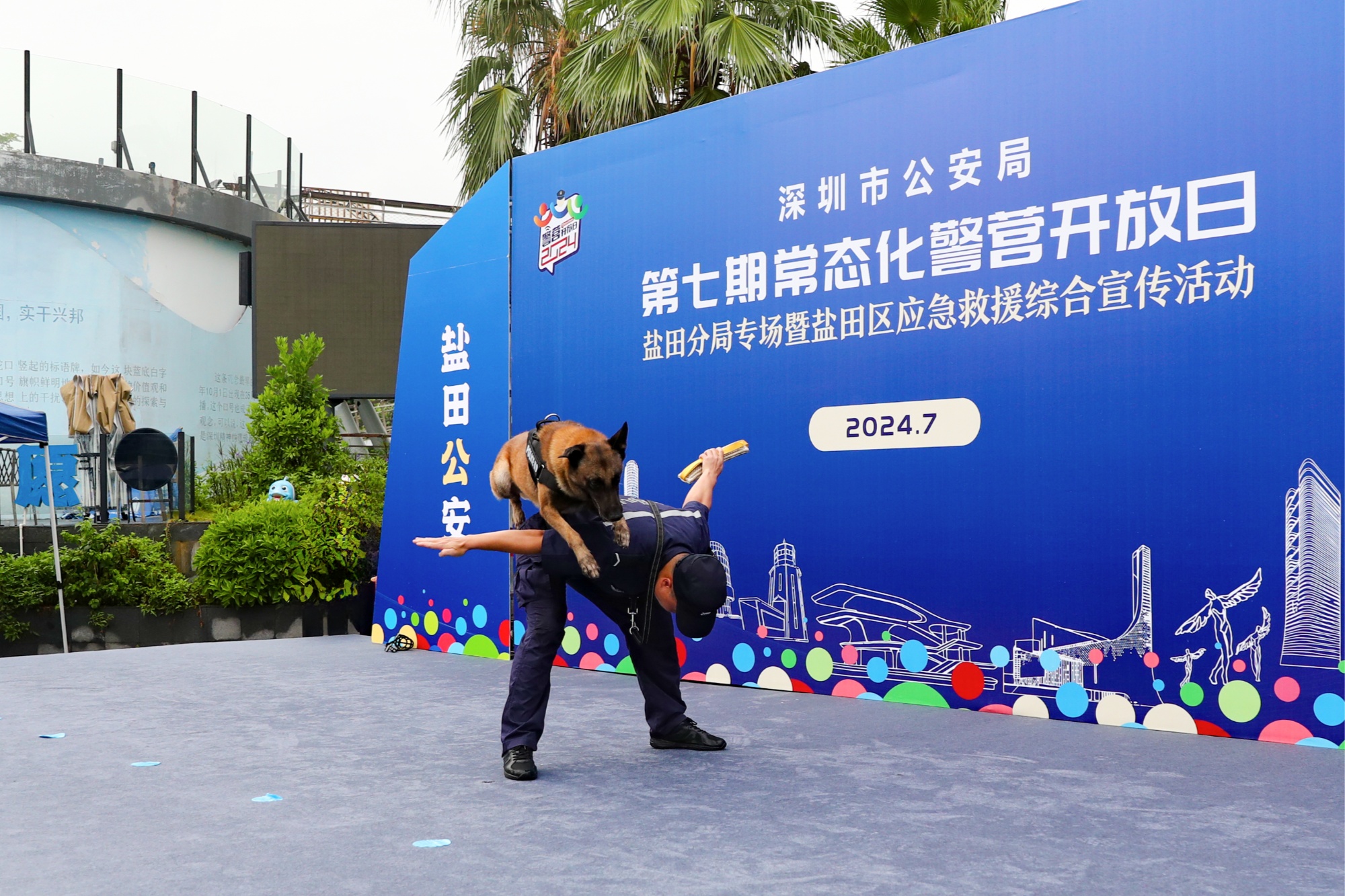 s15赛程-多伦多猛龙训练开放日；赛前强势反弹引欢呼；意大利杯在即；团队化学反应显著的简单介绍